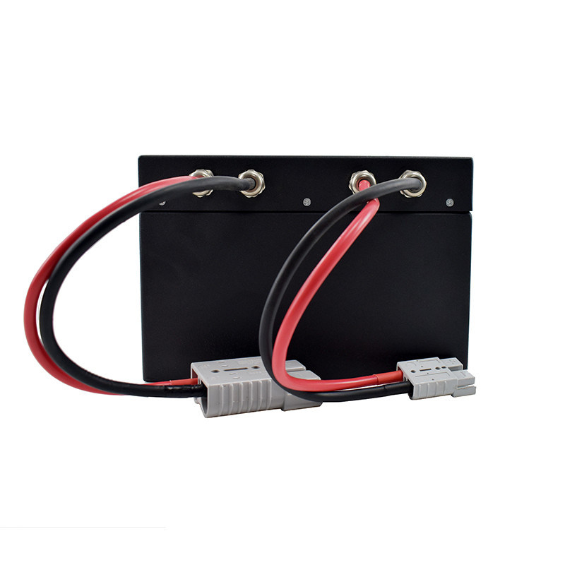 300*245*169mm Batería del camión de paletas Negro Tiempo de descarga 2-3 horas 24V 60AH